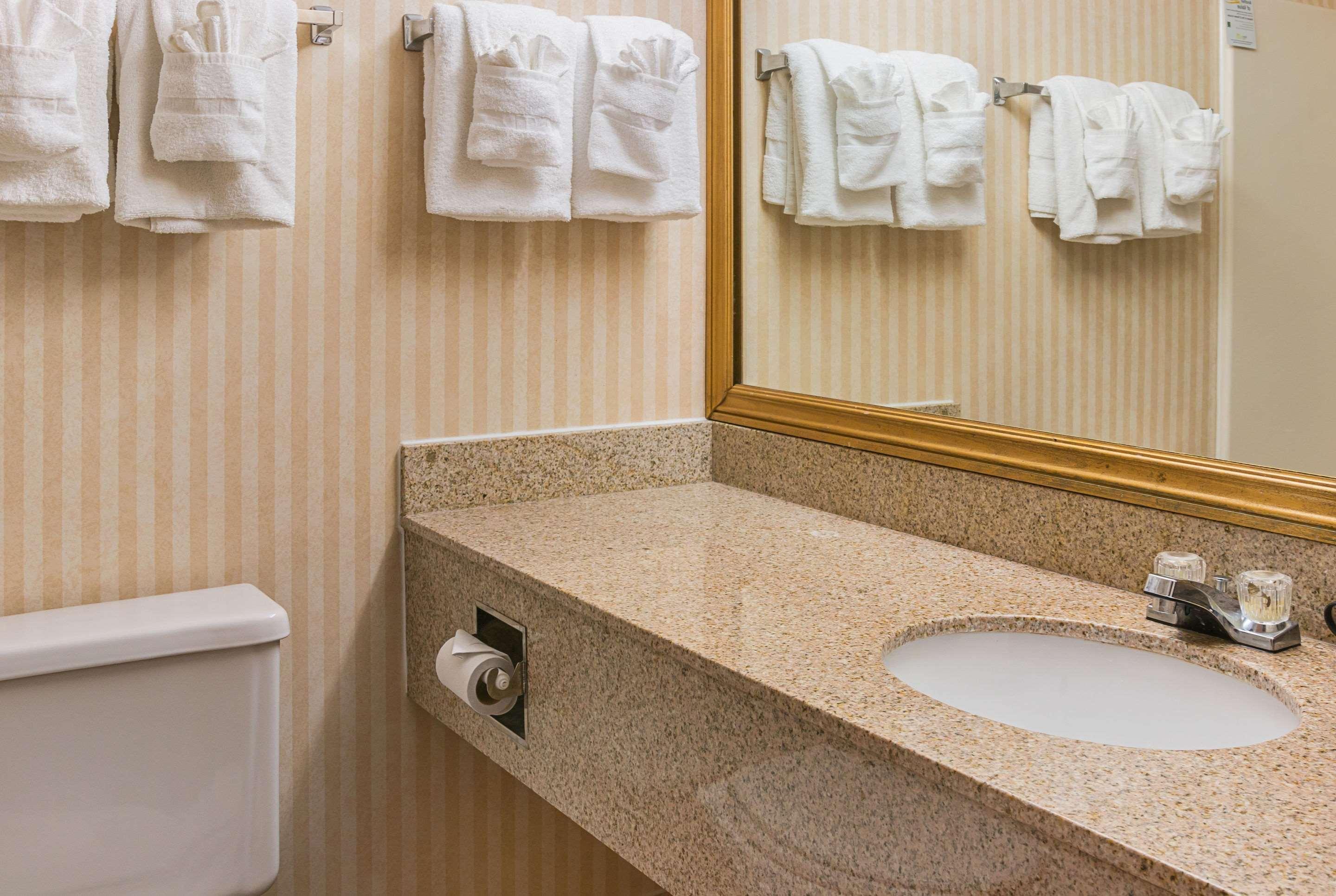 Quality Inn & Suites Detroit Metro Airport Ром'юлус Екстер'єр фото